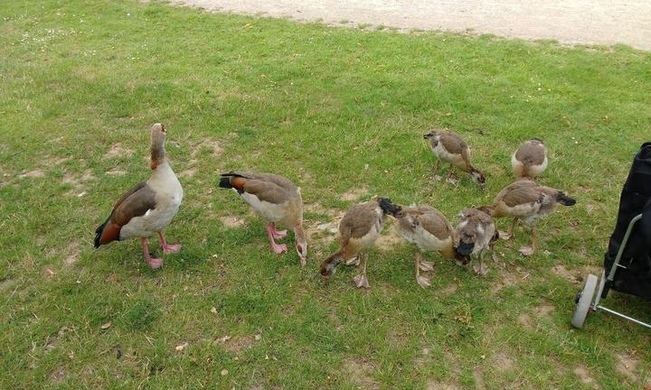 Biergarten am Aachener Weiher